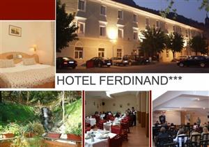 Hotel Ferdinand 3* - Baile Herculane